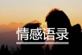 婚前个人调查取证